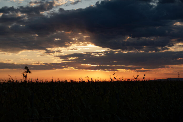 Sonnenuntergang mit dramatischen Wolken über Feldern bei Frettenheim
